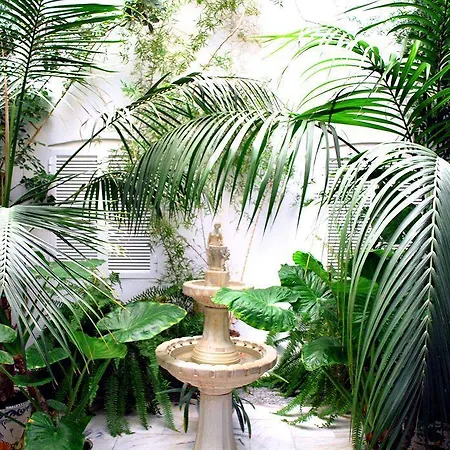 Aparthotel Marina Luz 4*